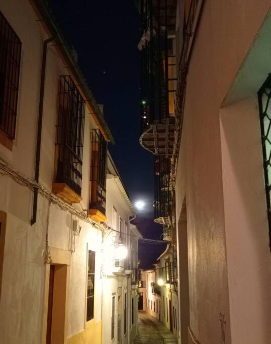 Precioso Loft En El Centro De Cordoba. Apartment ภายนอก รูปภาพ