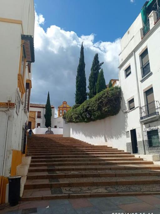 Precioso Loft En El Centro De Cordoba. Apartment ภายนอก รูปภาพ