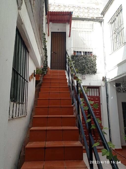 Precioso Loft En El Centro De Cordoba. Apartment ภายนอก รูปภาพ